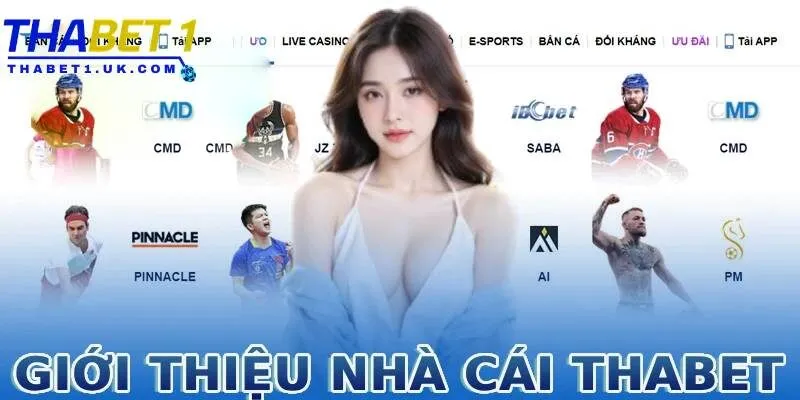Giới thiệu Thabet 2 Giao diện cá cược tại nhà cái