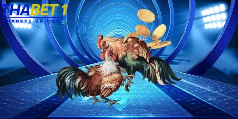 Nhà cái cung cấp 2 sảnh đá gà uy tín